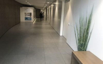 Semana de Tribunal de Defensas en UNIR-Universidad Internacional de La Rioja
